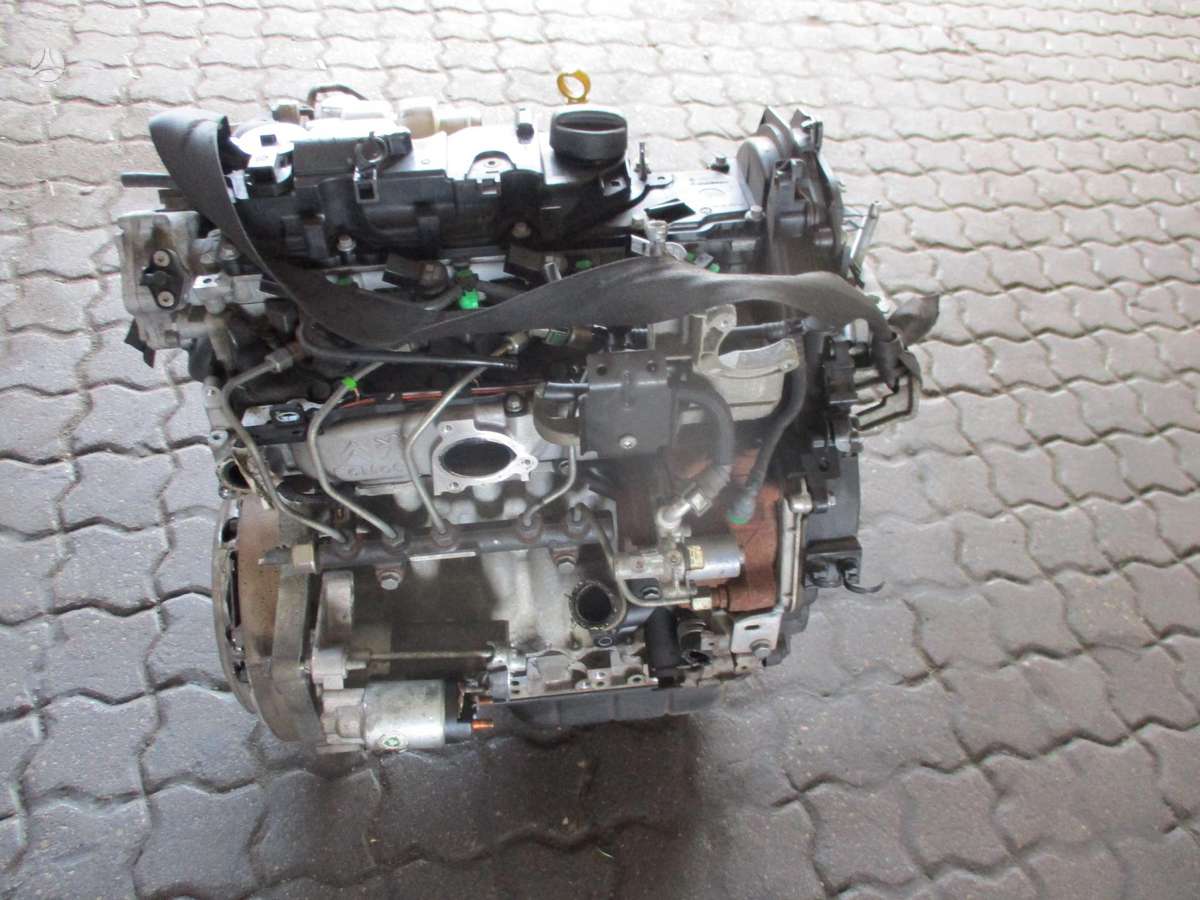 Ford Focus Variklis 1 6d t1db