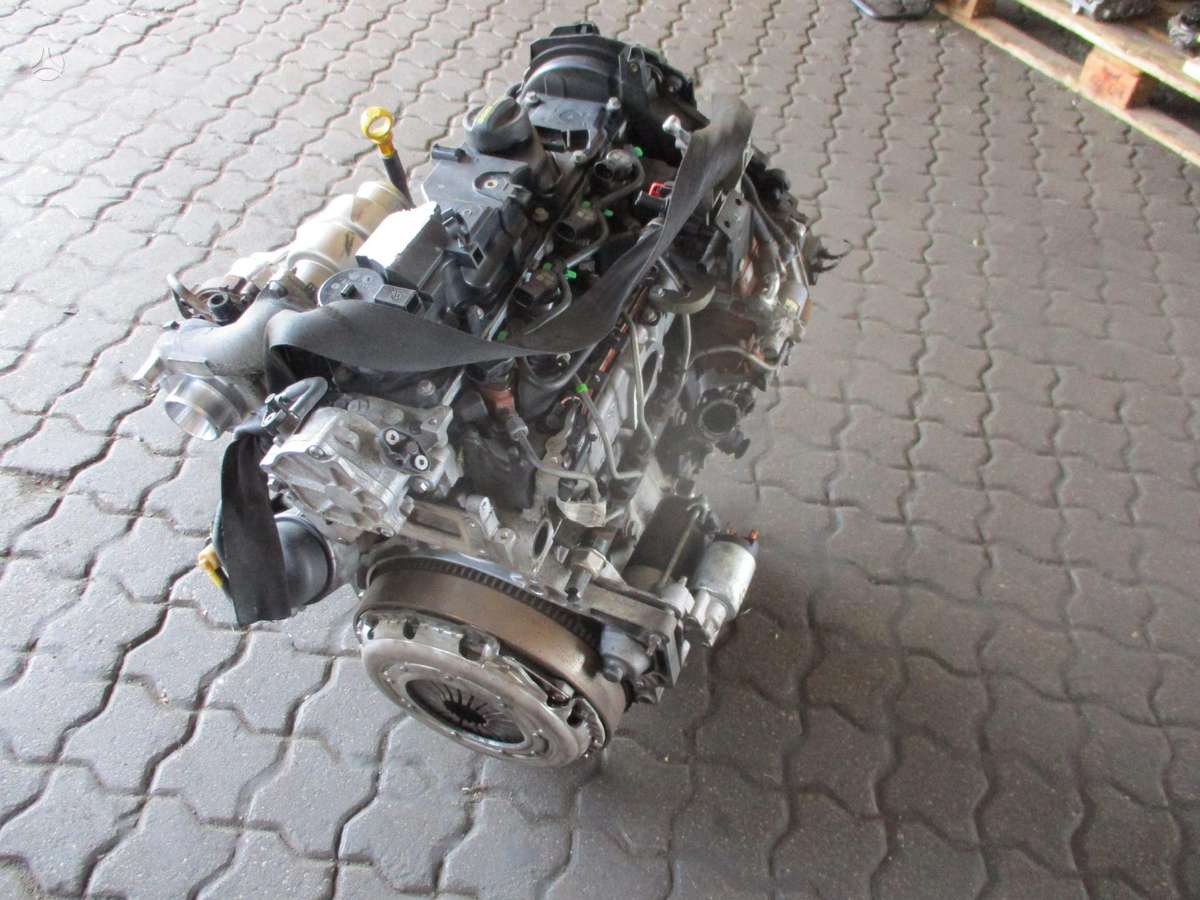 Ford Focus Variklis 1 6d t1db