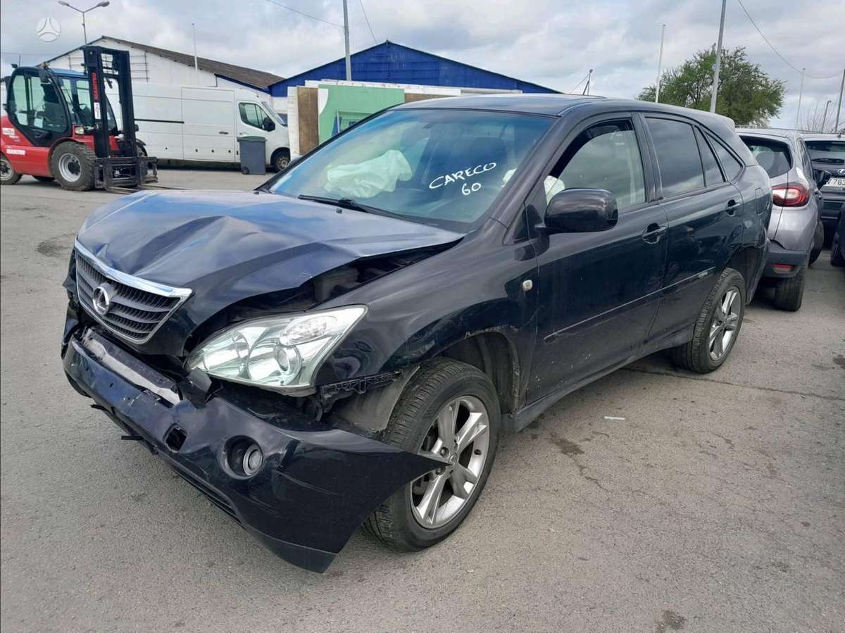 Lexus RX 400h dalimis. Spalva 202