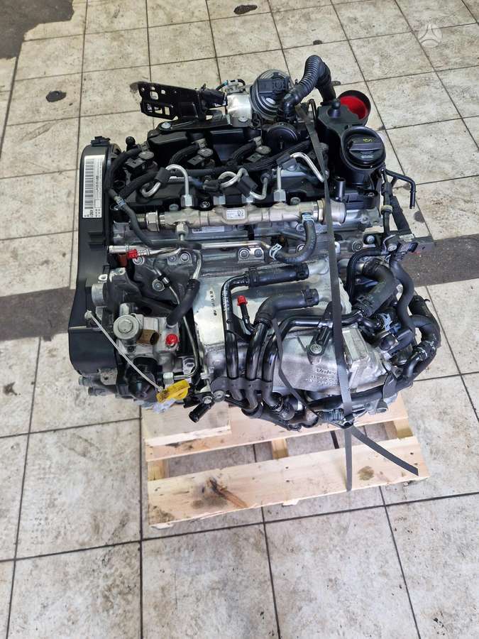 Volkswagen Golf, Ddy
