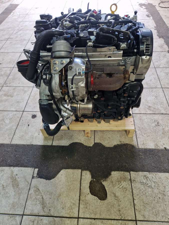 Volkswagen Golf, Ddy