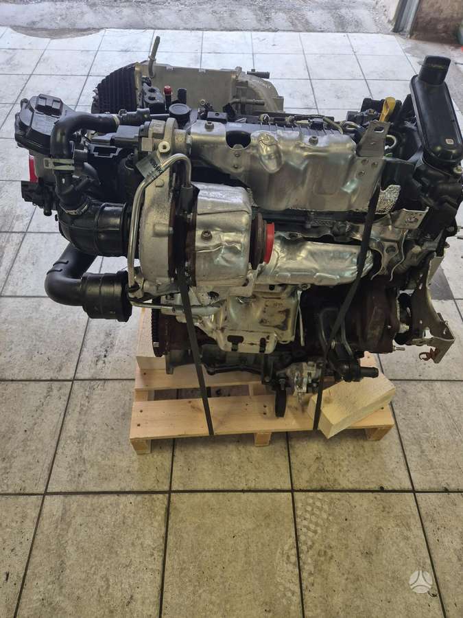 Ford S-MAX, Bccc, Sveikas variklis