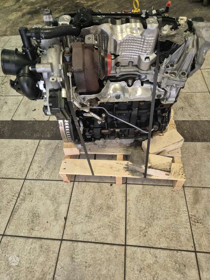 Renault Scenic, R9na401, Sveikas variklis
