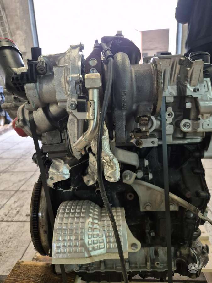 Volkswagen Polo, Daj