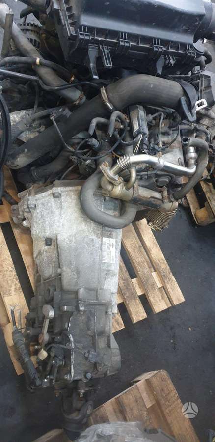 Volkswagen Crafter, cargo vans