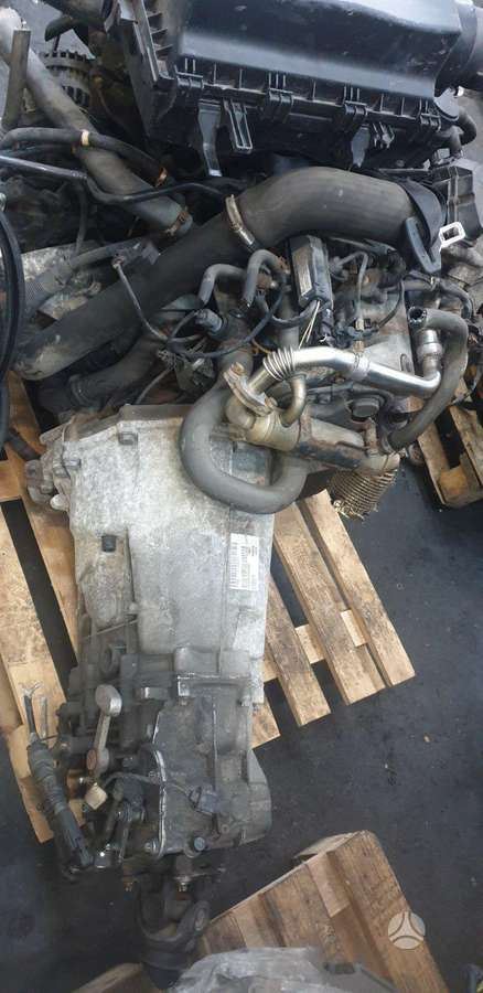 Volkswagen Crafter, krovininiai mikroautobusai