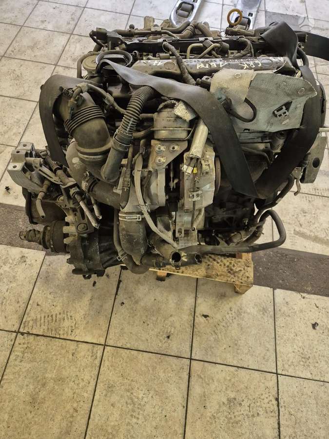 Volkswagen Golf, Crk