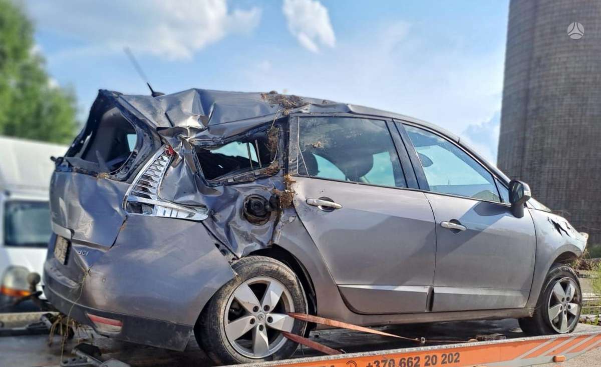 Renault Scenic dalimis