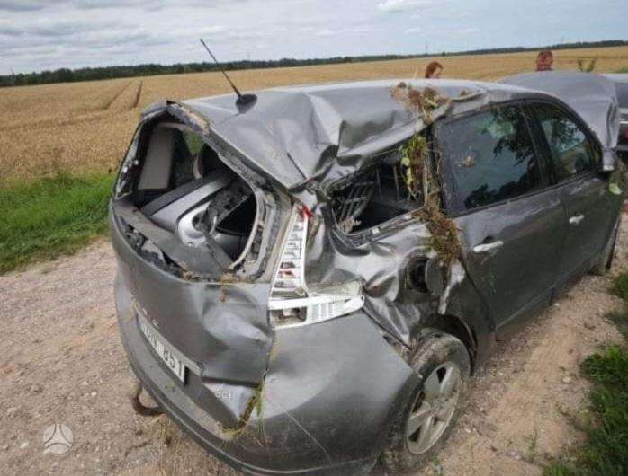 Renault Scenic dalimis