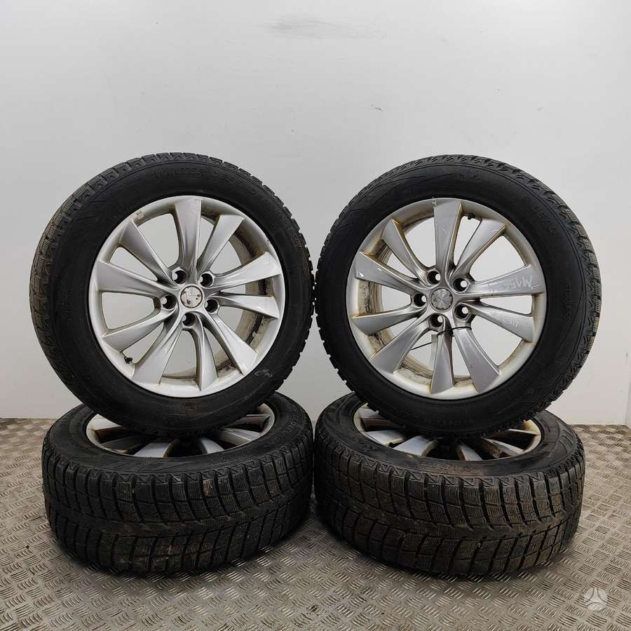 TESLA Model X, light alloy, R19