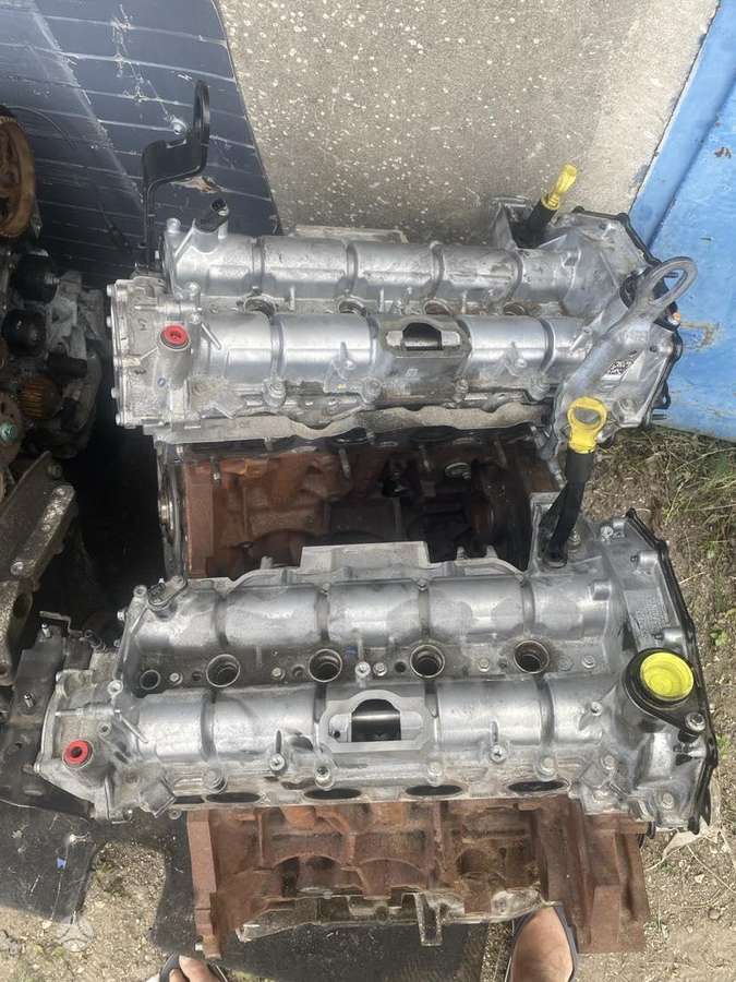 Ford TRANZIT, pasažieru mikroautobuss