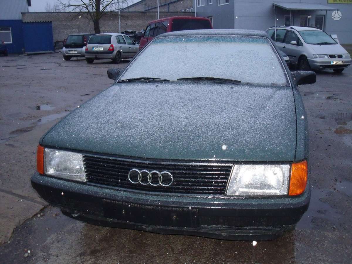 Audi 100 Dalimis
