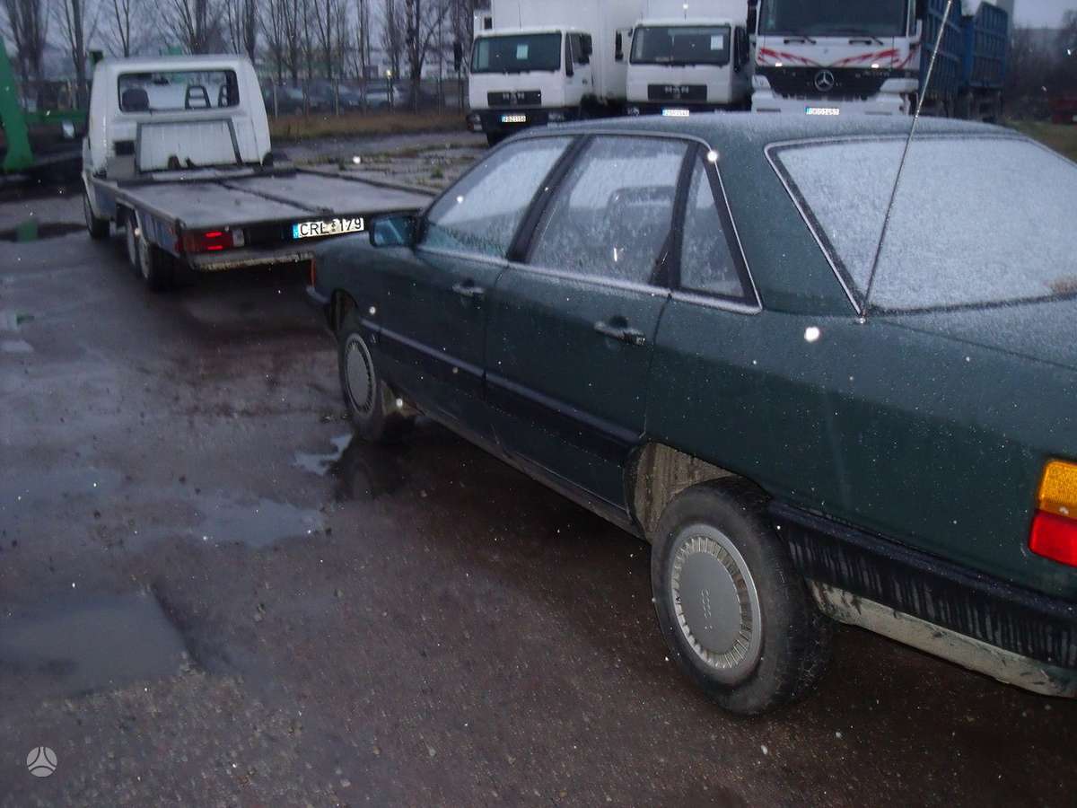 Audi 100 Dalimis