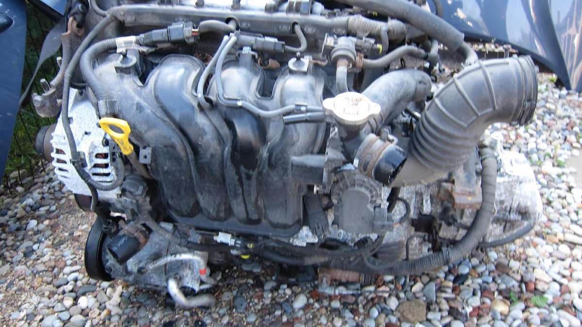 Kia Ceed Dalimis
