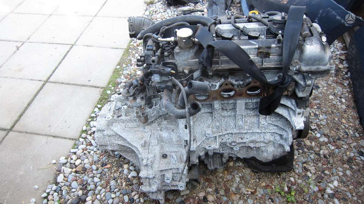 Kia Ceed Dalimis