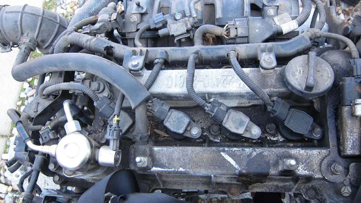 Kia Ceed Dalimis