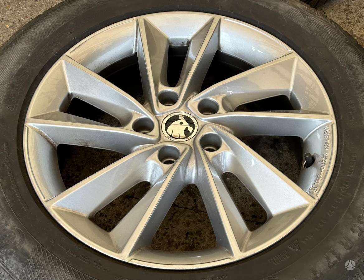 Skoda Kodiaq, light alloy, R17