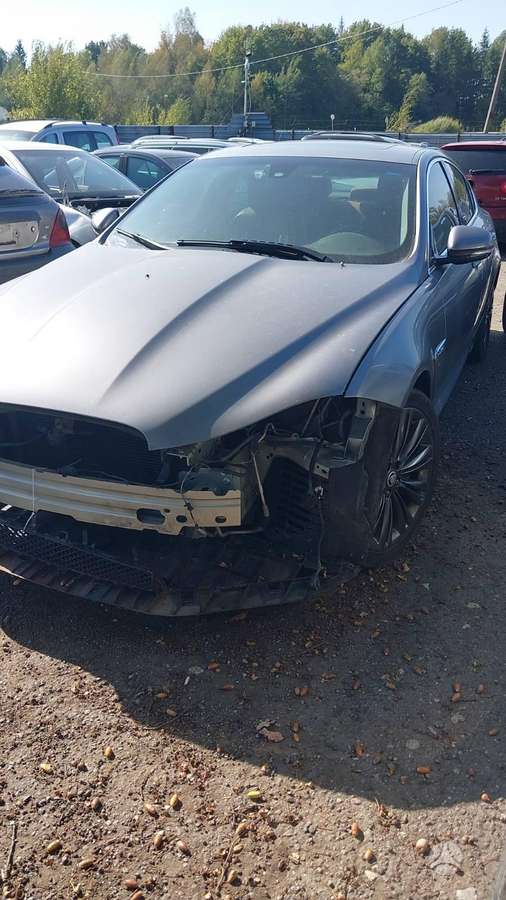 Jaguar XF по частям