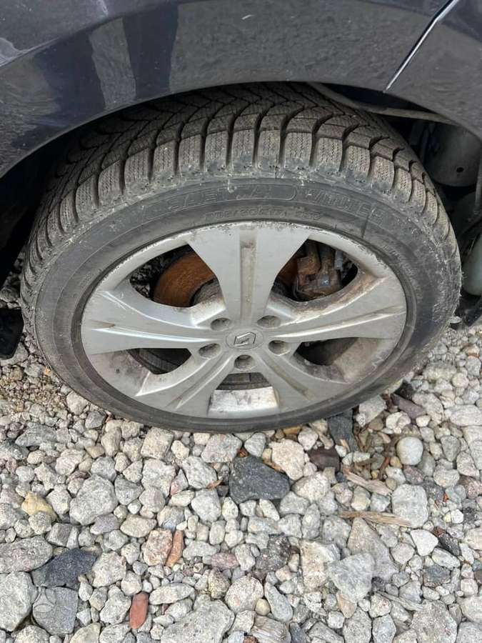 Renault Megane dalimis