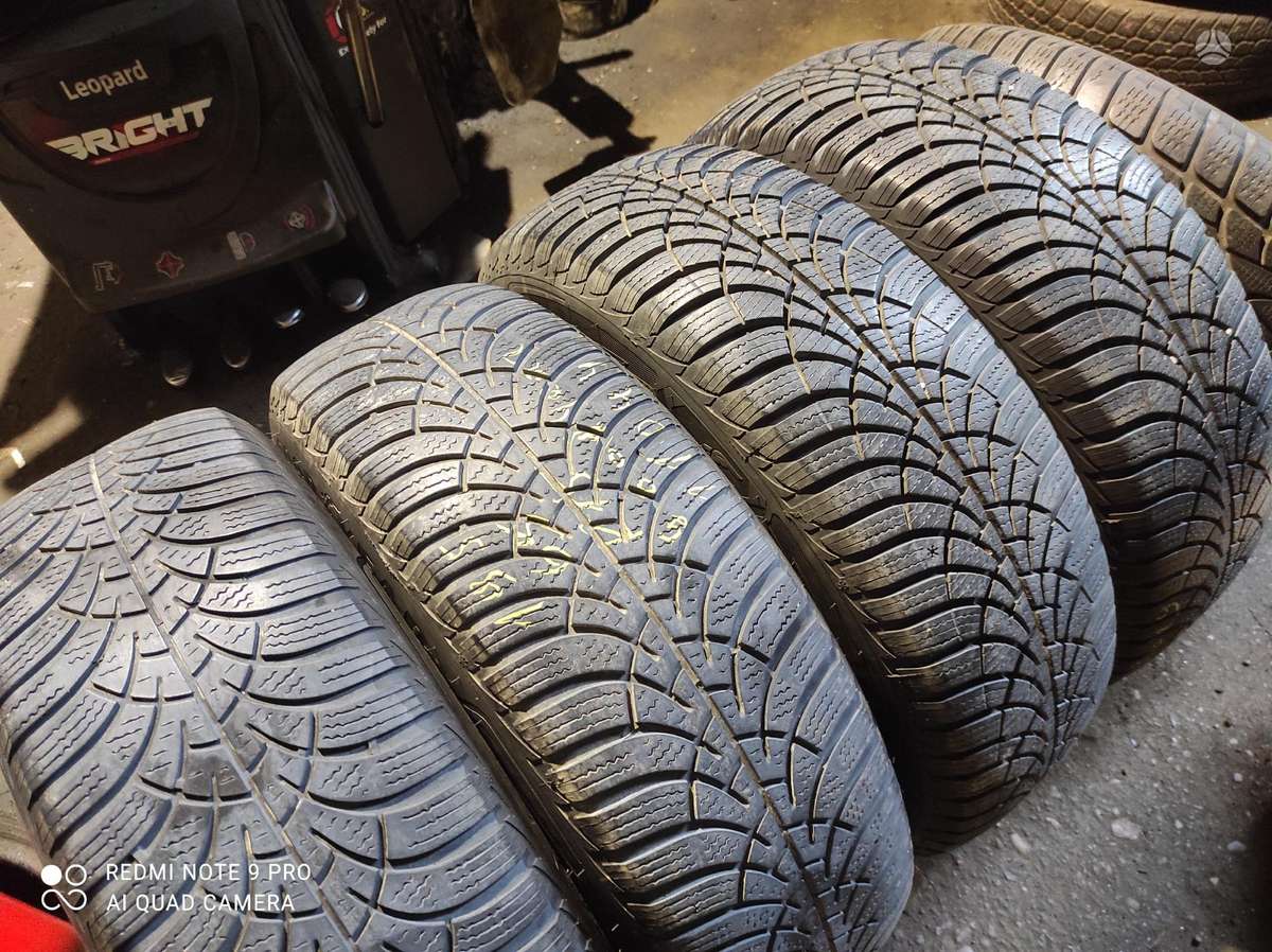 Michelin, winter 195/65 R15