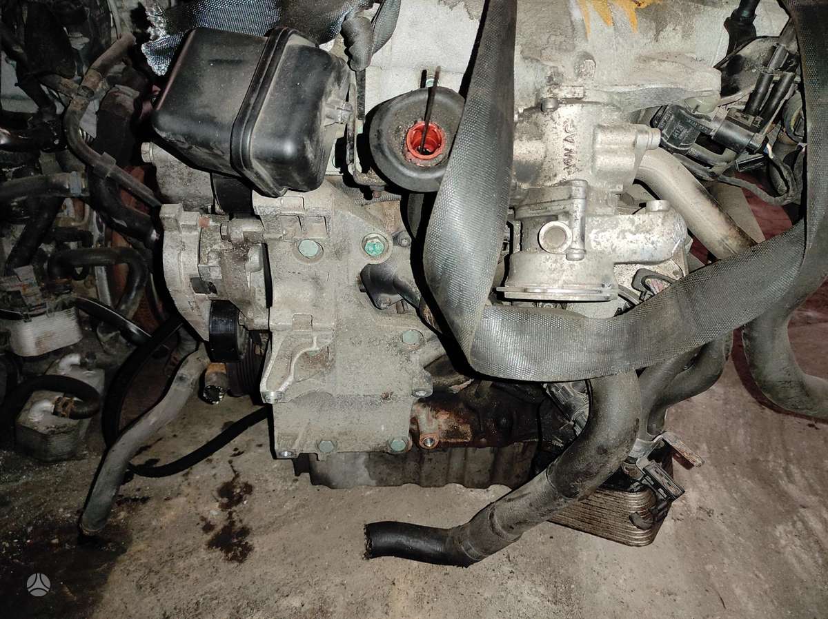 Volkswagen Passat Tik variklis ir dėžė