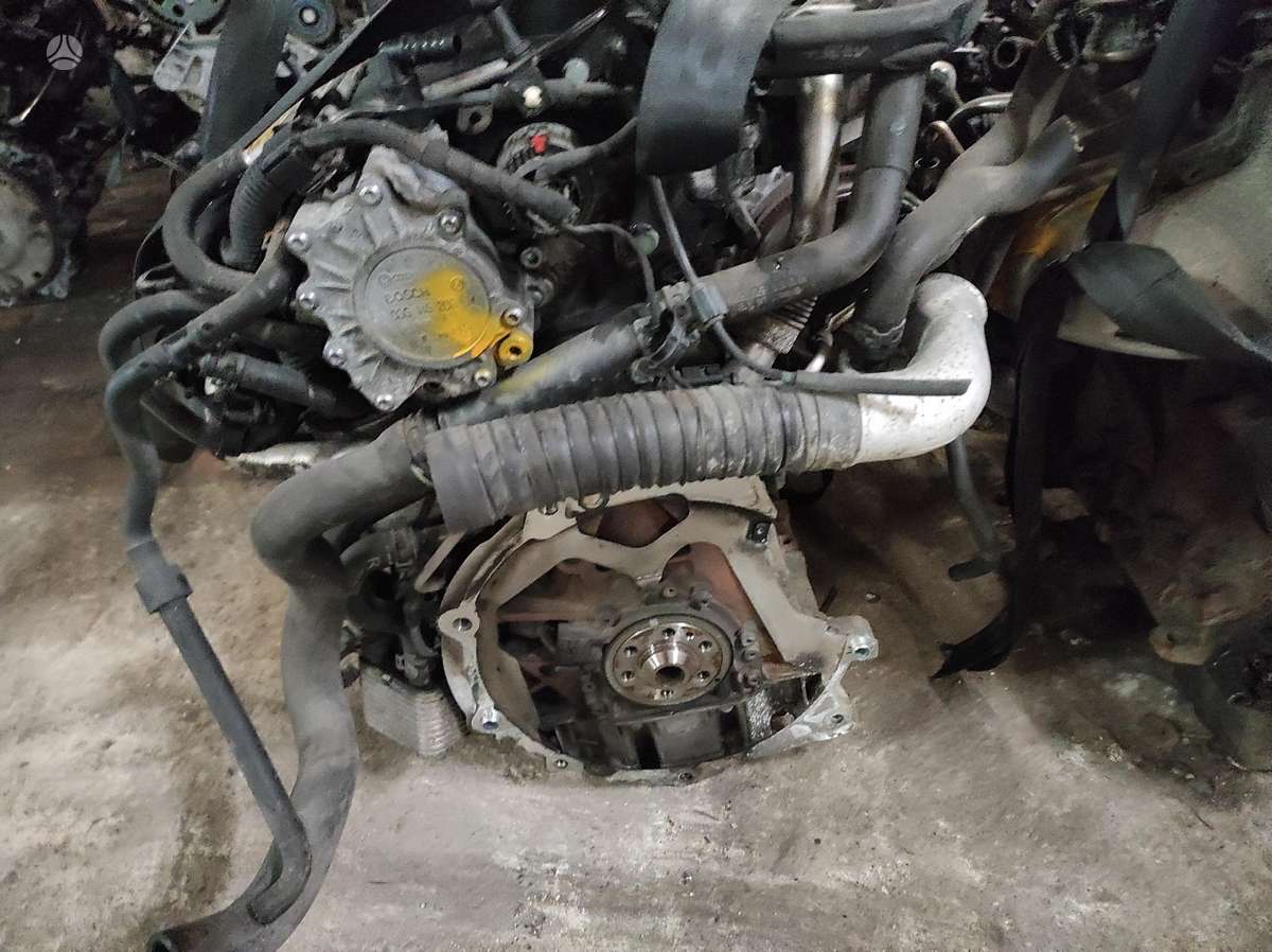 Volkswagen Passat Tik variklis ir dėžė