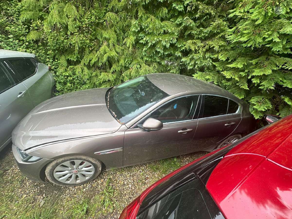 Jaguar XE dalimis. Tik kėbulo dalys