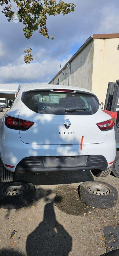 Renault Clio 37069885048