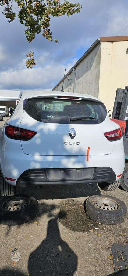 Renault Clio 37069885048