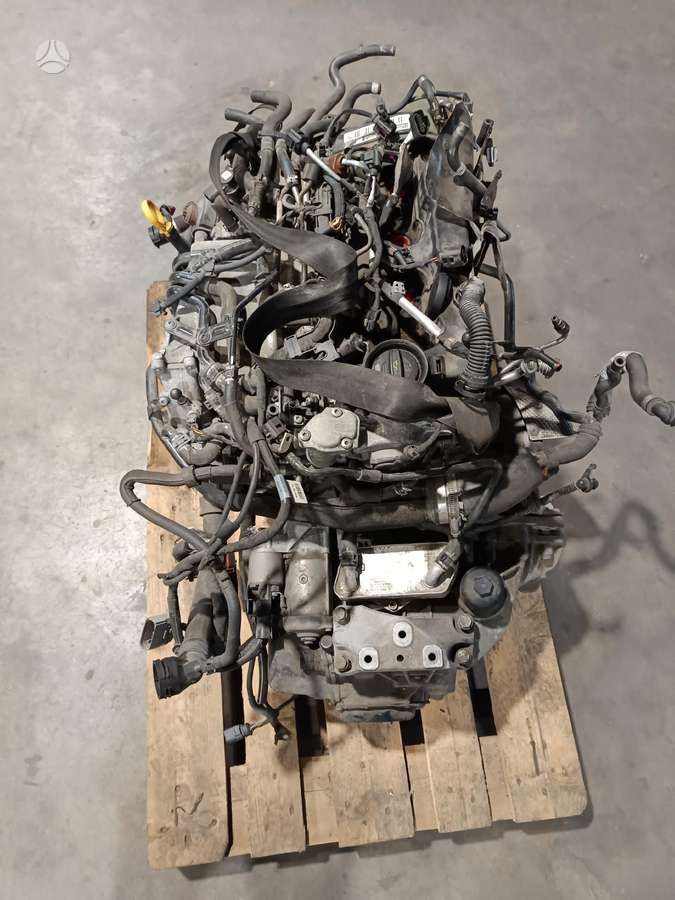 Volkswagen Passat, DDA, двигатель