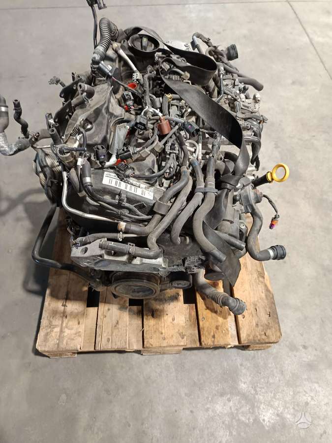 Volkswagen Passat, DDA, engine
