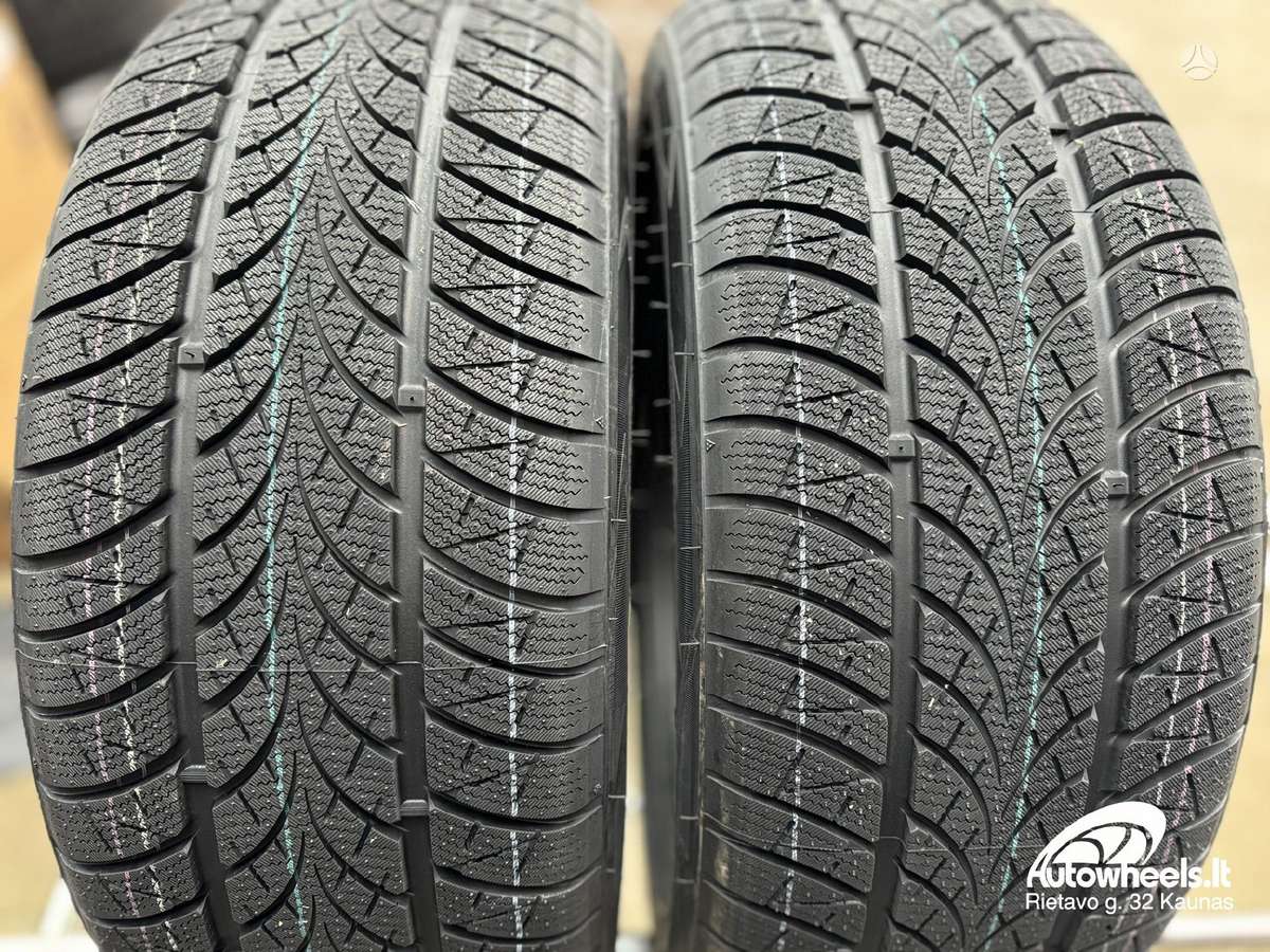 Triangle WinterX TW401, žieminės 225/45 R17