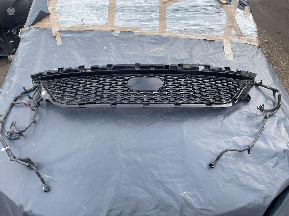 Chrysler Pacifica trim parts
