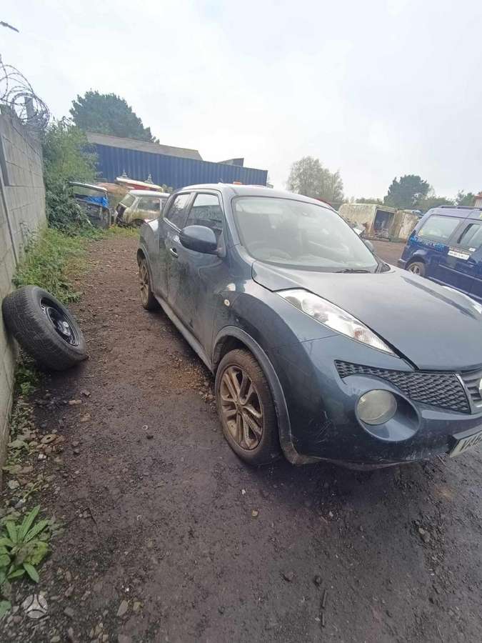 Nissan Juke dalimis