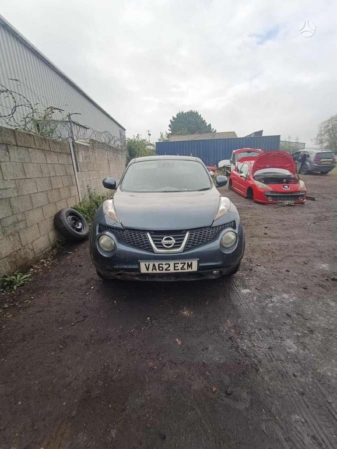 Nissan Juke dalimis