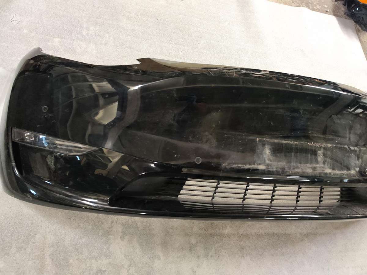 Tesla Model Y Pilnas galiu ardyti