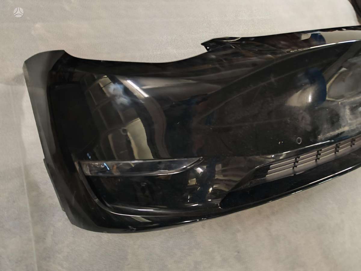 Tesla Model Y Pilnas galiu ardyti