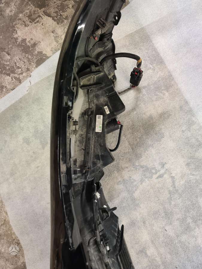 Tesla Model Y Pilnas galiu ardyti