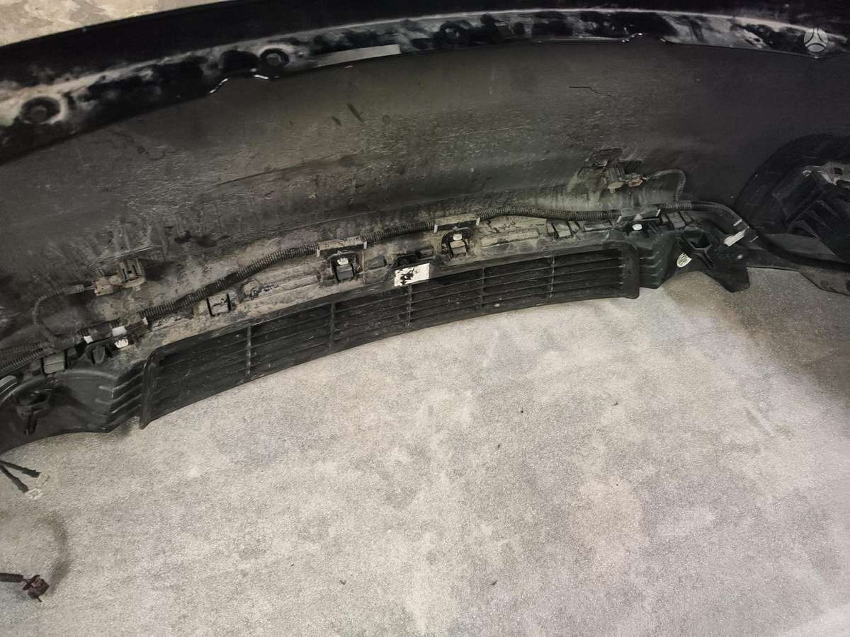 Tesla Model Y Pilnas galiu ardyti