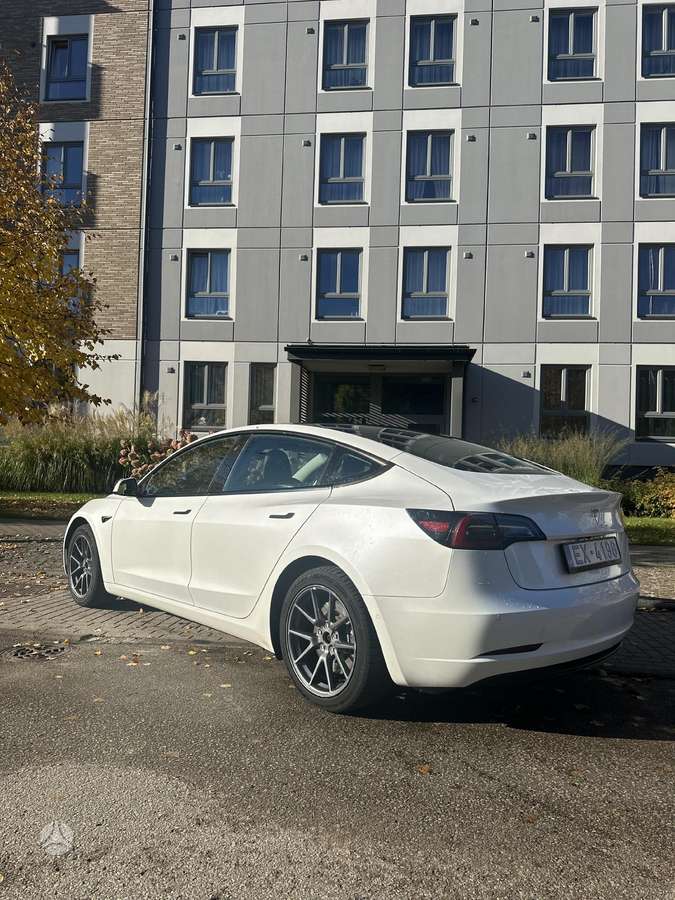 Tesla Model 3, 55 кВт·ч, Седан