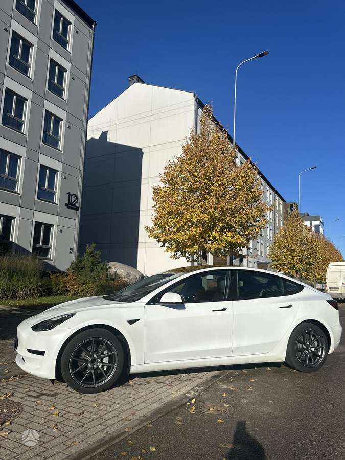 Tesla Model 3, 55 кВт·ч, Седан