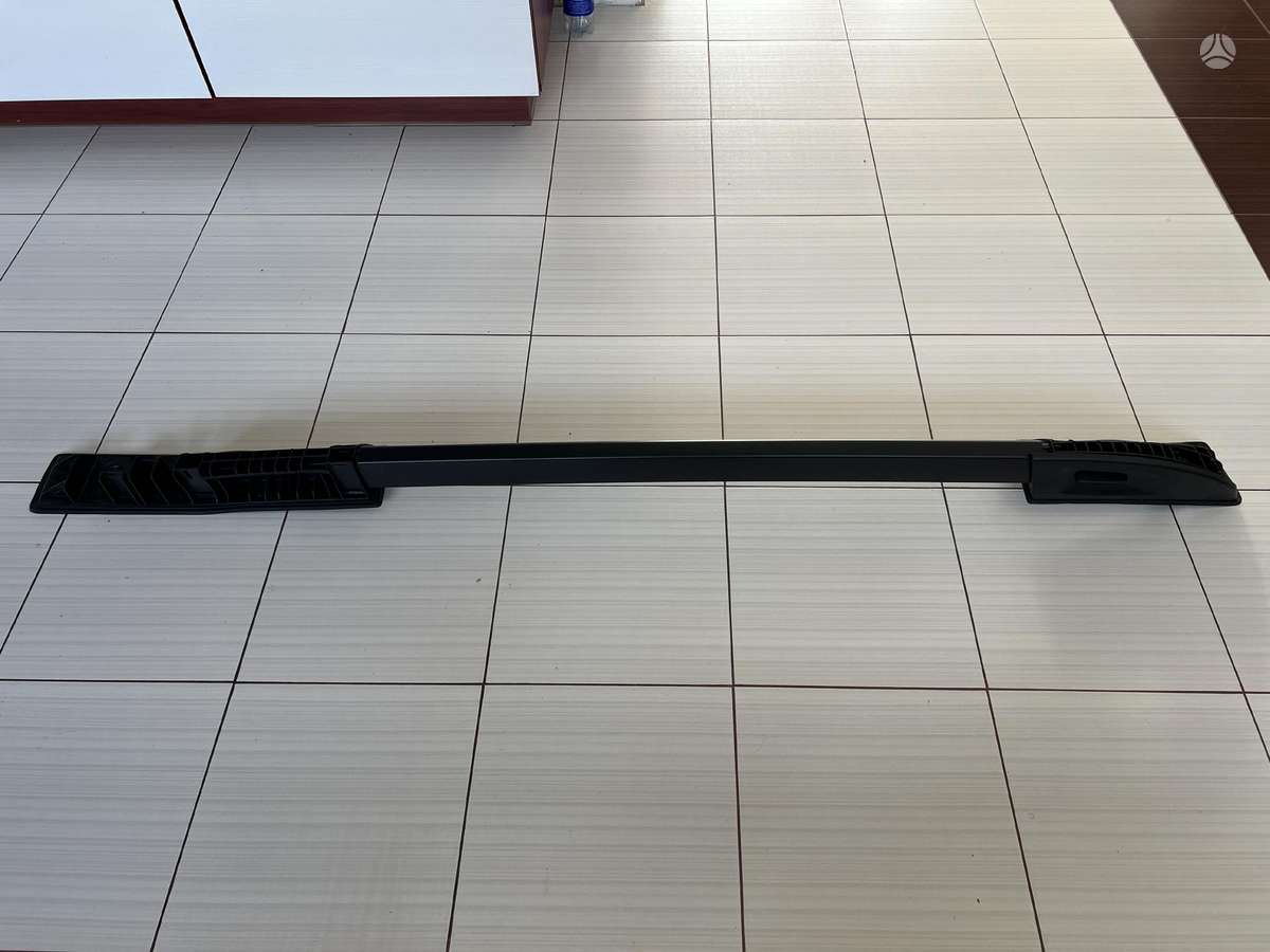 Dacia Duster, 738214104R, stogo bagažinės