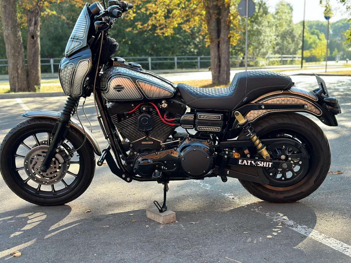 Harley-Davidson Dyna 1450cc, choppers