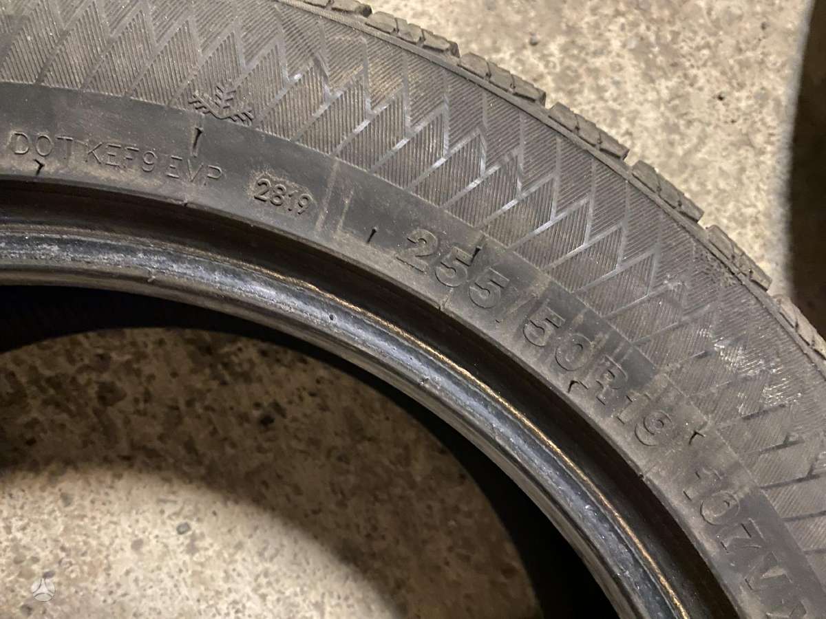 Gripmax, winter 255/50 R19
