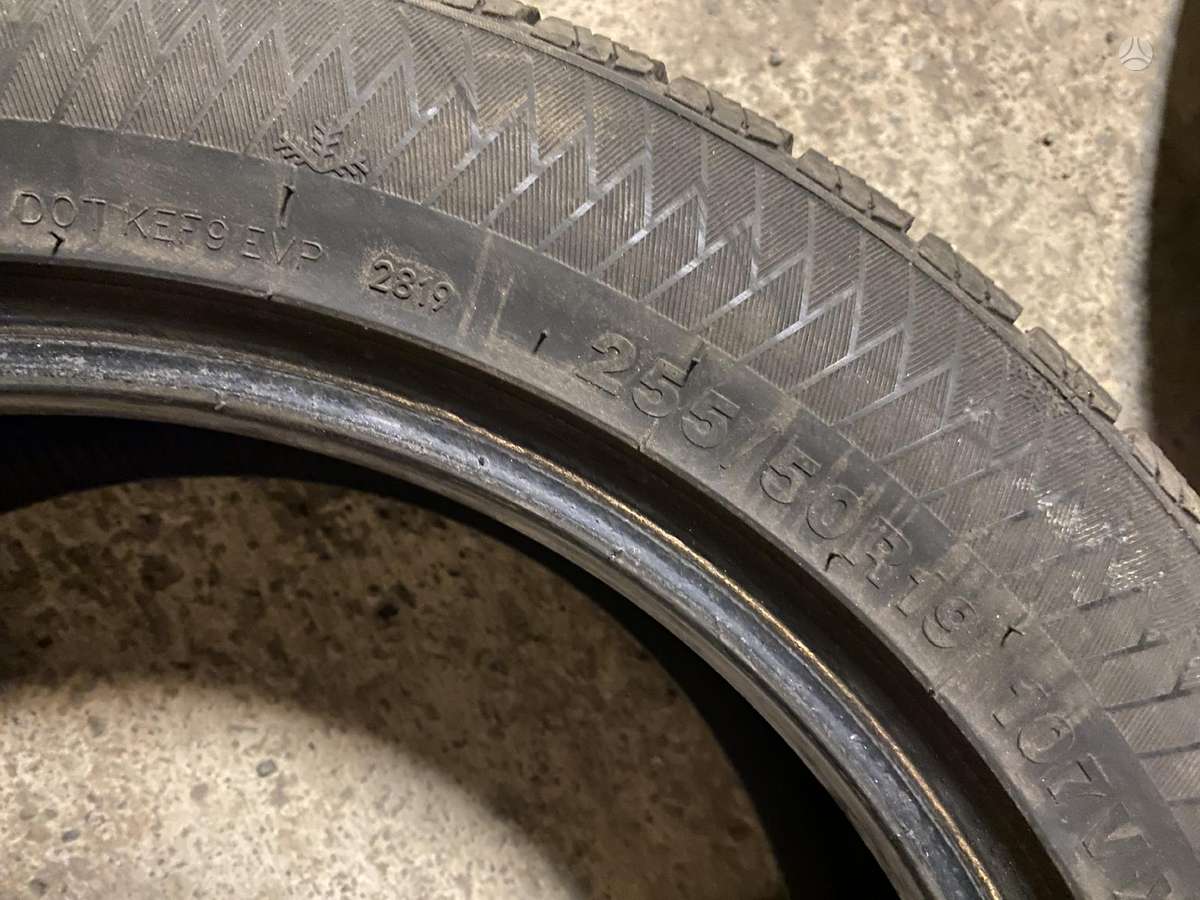 Gripmax, žieminės 255/50 R19