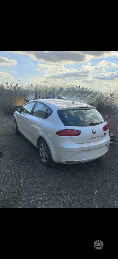 Seat Leon, Cayc