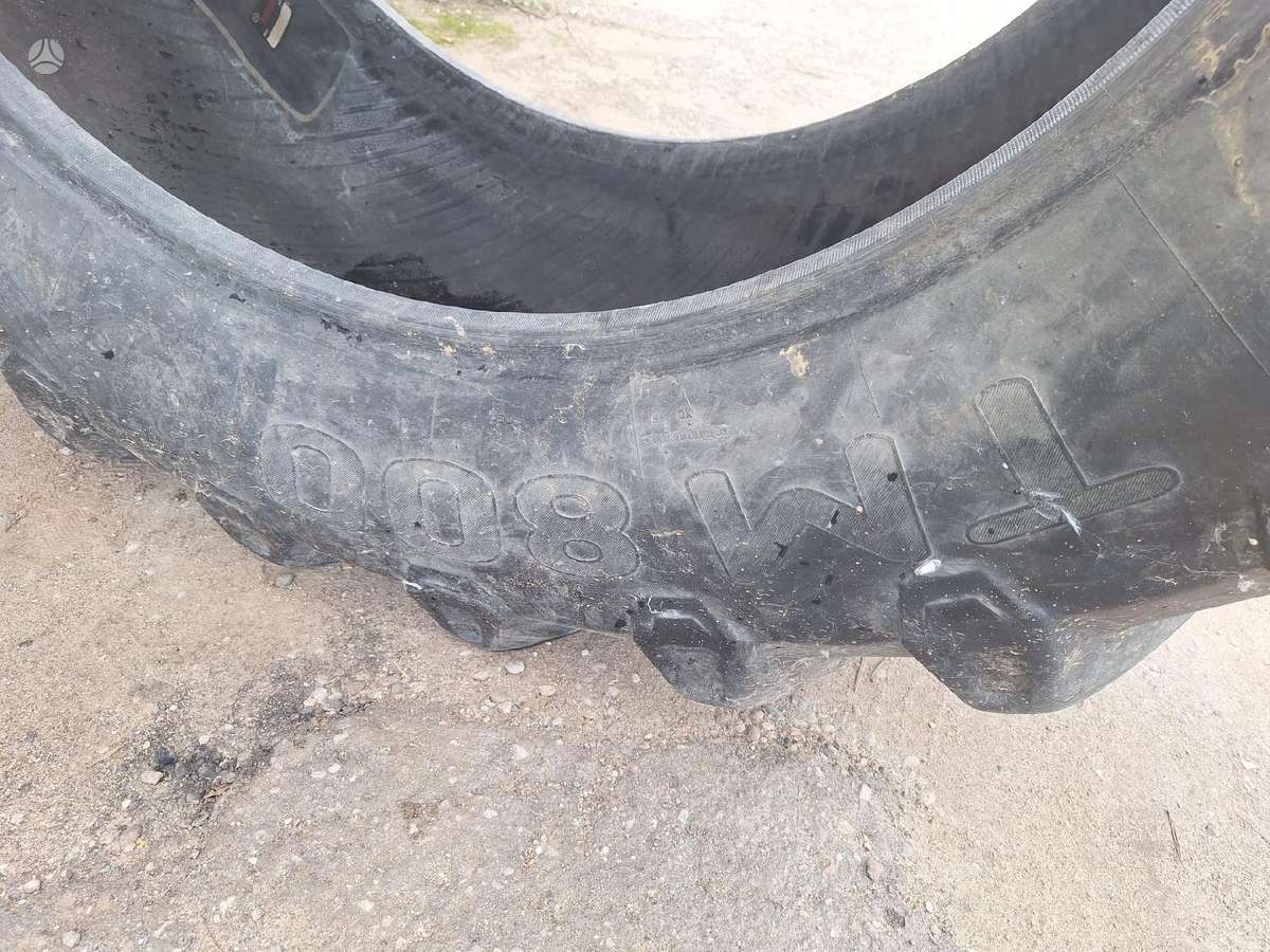 Pirelli TM 800