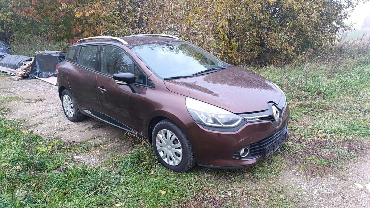 Renault Clio dalimis