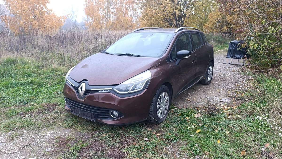 Renault Clio dalimis