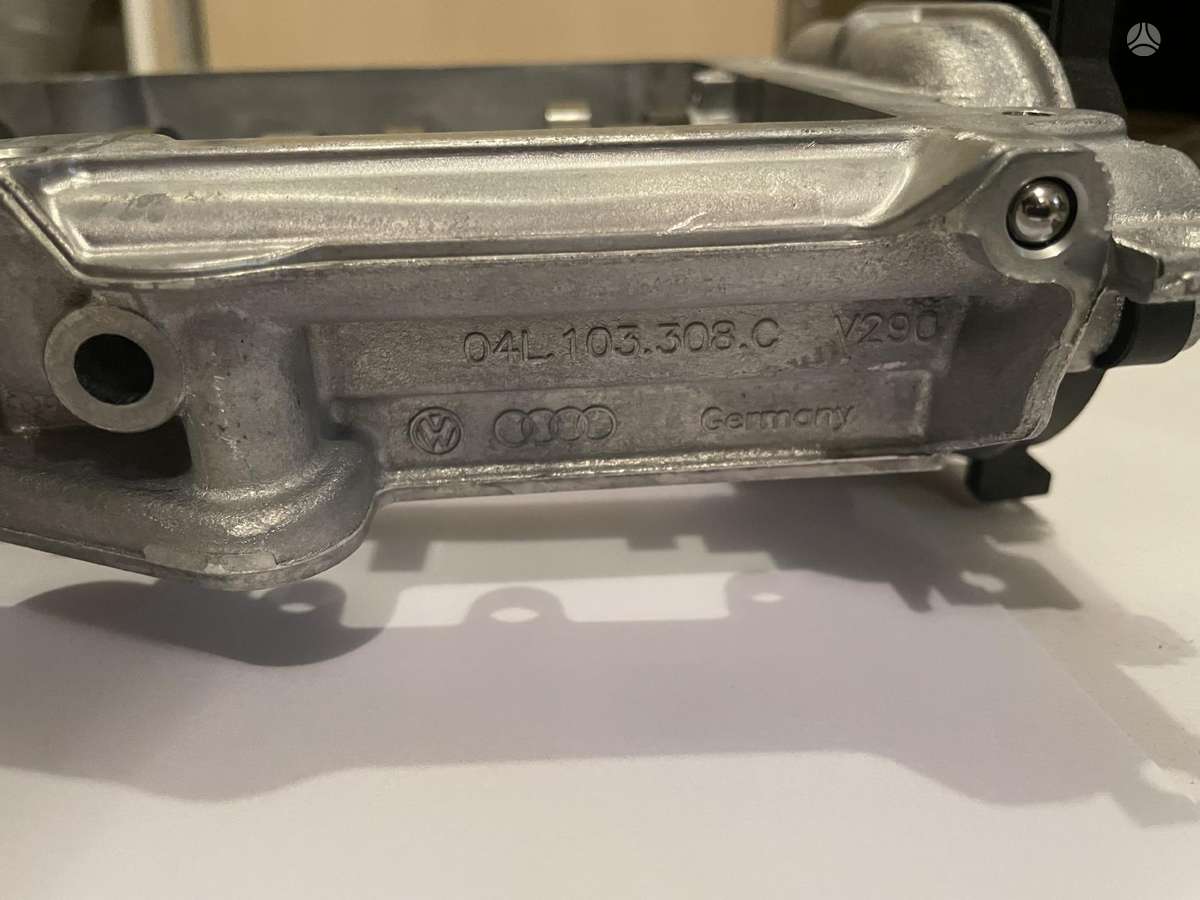 Volkswagen Passat variklio galvutė
